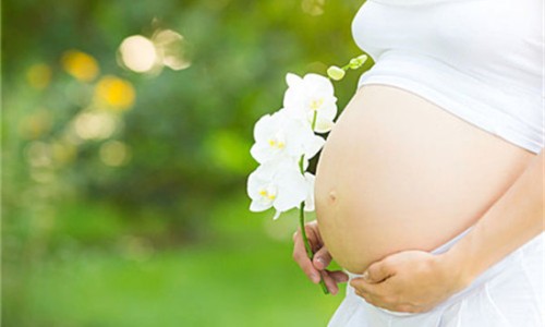 孕妇可以吃黄油桃吗晚期-孕妇可以吃黄油桃吗网 :分享孕妇可以吃黄油桃吗对胎儿有影响吗-被诈骗报案材料怎么写样本知识